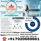 MLM Software