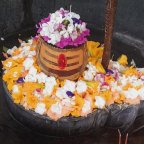 महादेव बाबा के नित्य दर्शन